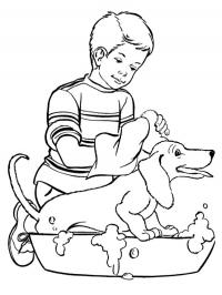 washing the dog