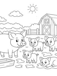 Pig farm