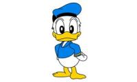 How to draw donald duck?