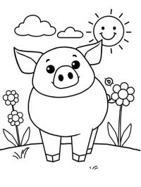 Funny pig