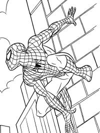 Spider Man climbs on building