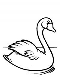 Happy swan Coloring Page - Funny Coloring Pages