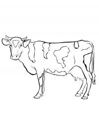 Milking a cow Coloring Page - Funny Coloring Pages