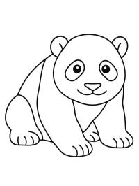 Baby panda