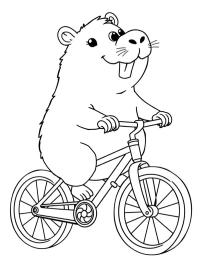 Capibara on the bike