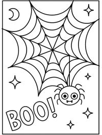 Funny spider in web