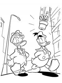 Gladstone Gander and Donald Duck