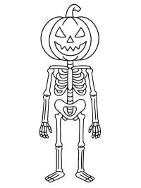 Halloween pumpkin skeleton