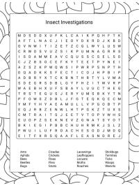 Insects word search