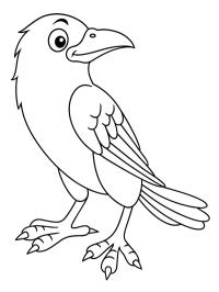 Crow