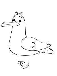 Seagull