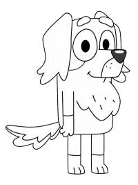 Mrs. Retriever