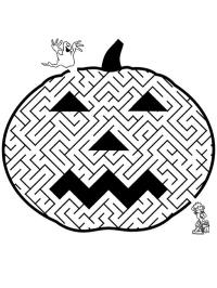 Pumpkin maze