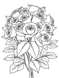 Bouquet of roses for adults