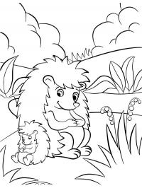 Hedgehog in nature Coloring Page - Funny Coloring Pages