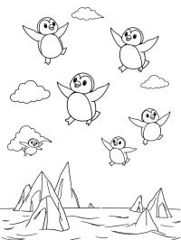 Flying penguins