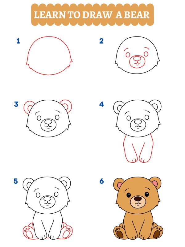 How to draw a bear