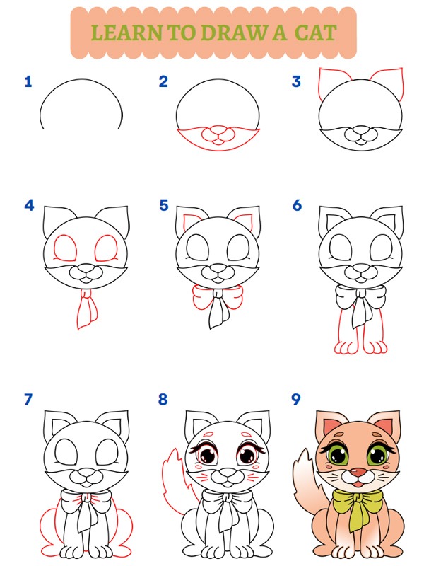 How to draw a cat