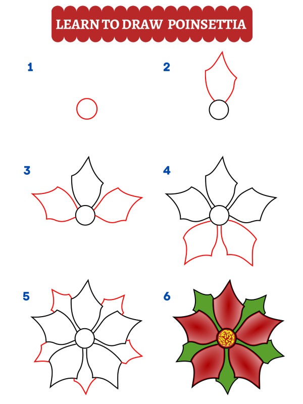 How to draw a poinsettia