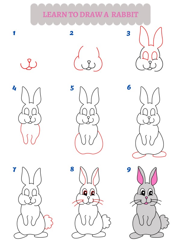 How to draw a Rabbit