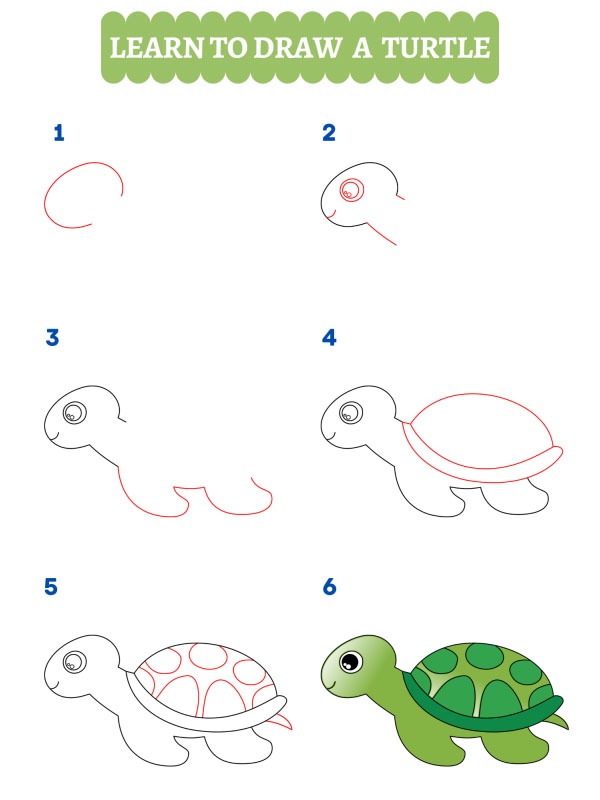 How to draw a turtle