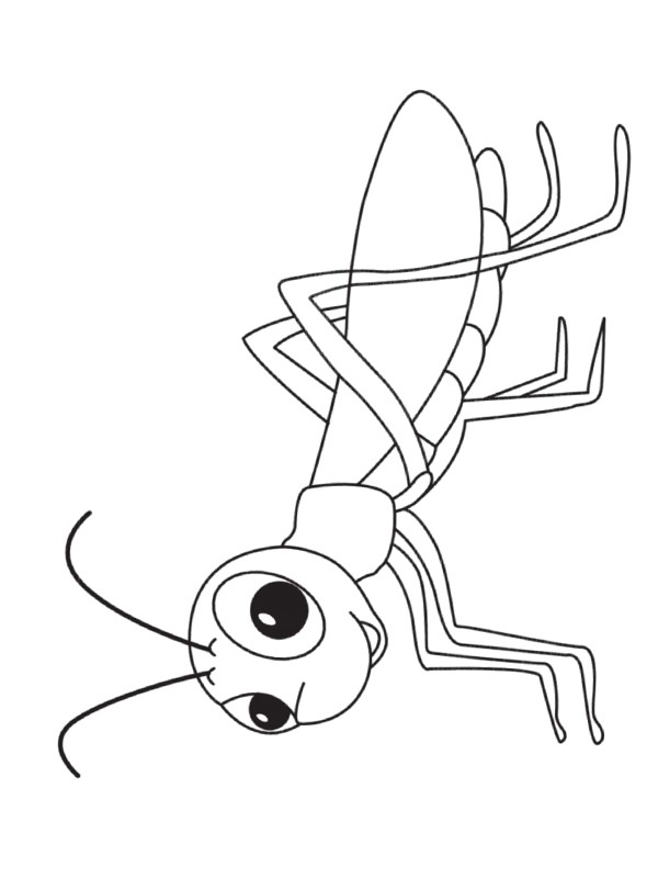 Grasshoper Coloring page