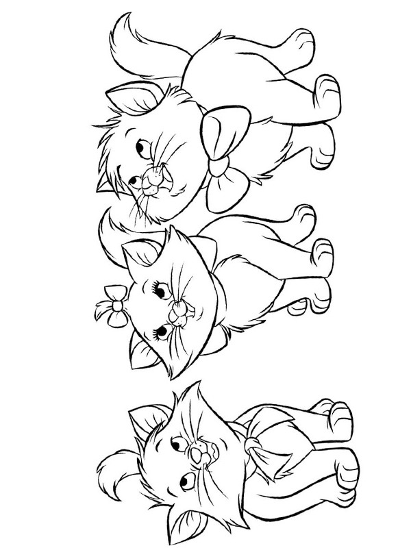 Three young kittens Coloring page