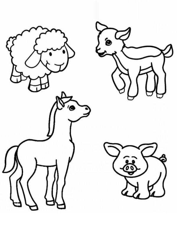 4 farm animals Coloring Page - Funny Coloring Pages