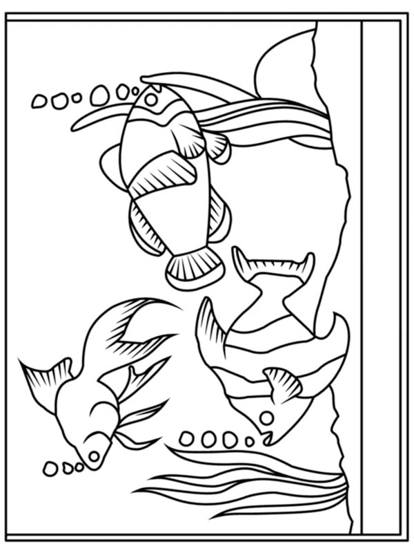 Aquarium Coloring page