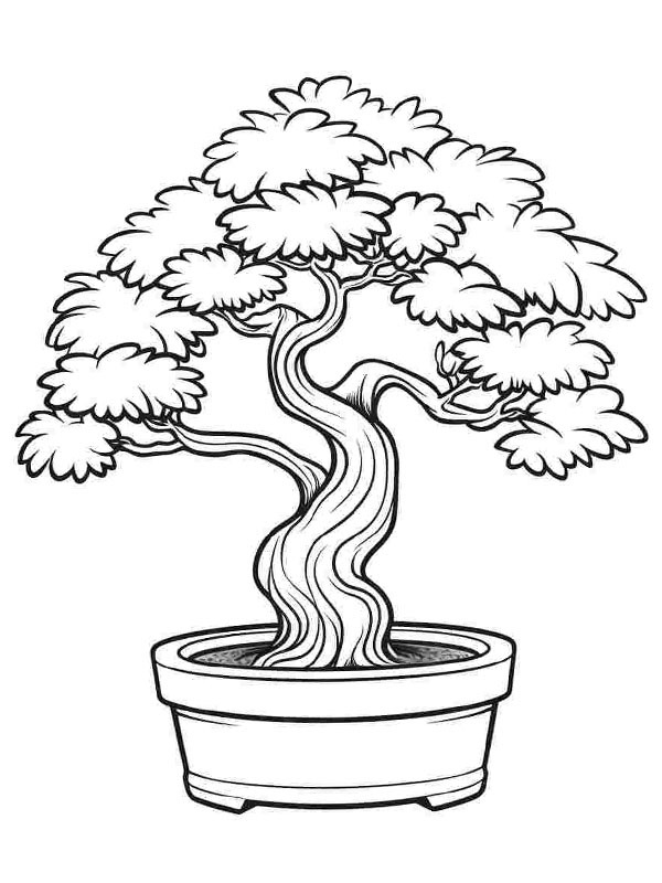 Bonsai tree Coloring page