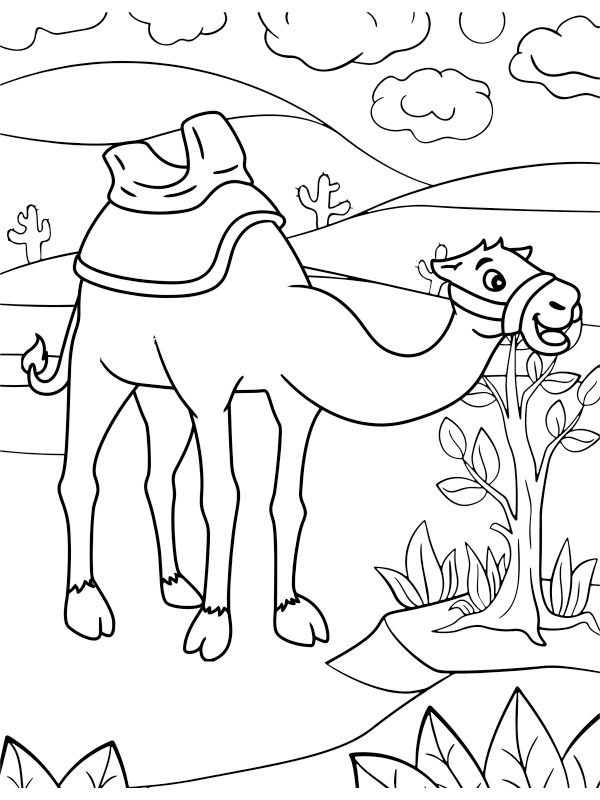 Drommedaris Coloring page