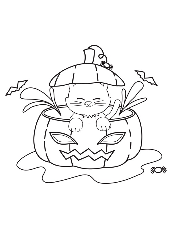 A cat in pumpkin lantern Coloring page