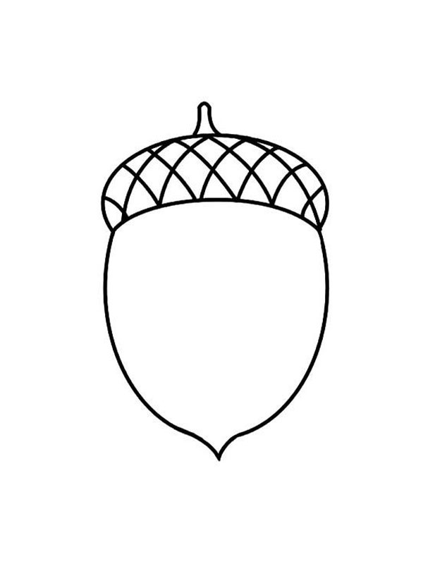 Acorn Coloring page