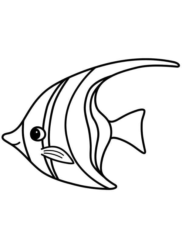 Angelfish Coloring page