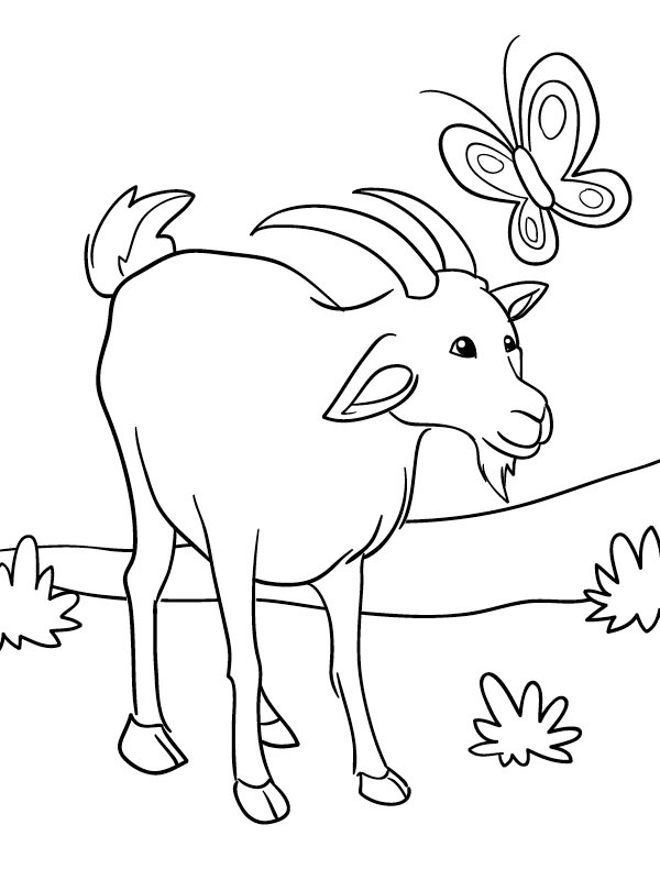 Goat and butterfly Coloring page