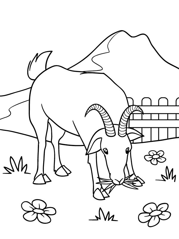 Goat grazes in the meadow Coloring page