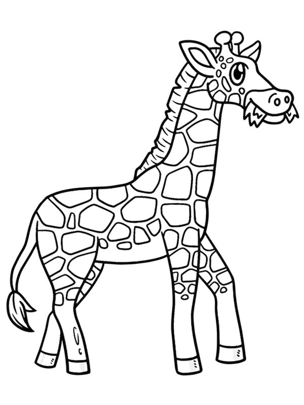 Giraffe eats grass Coloring page