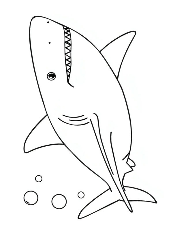 Great white shark Coloring page