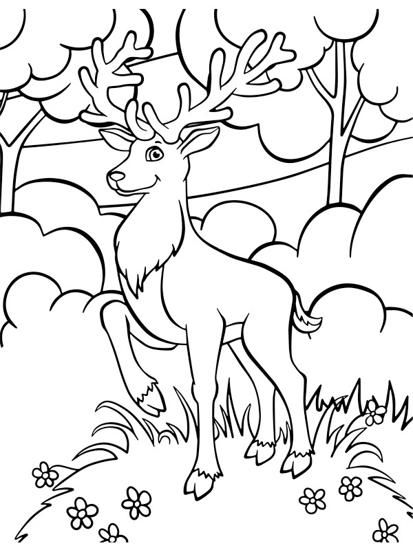 Deer in nature Coloring page