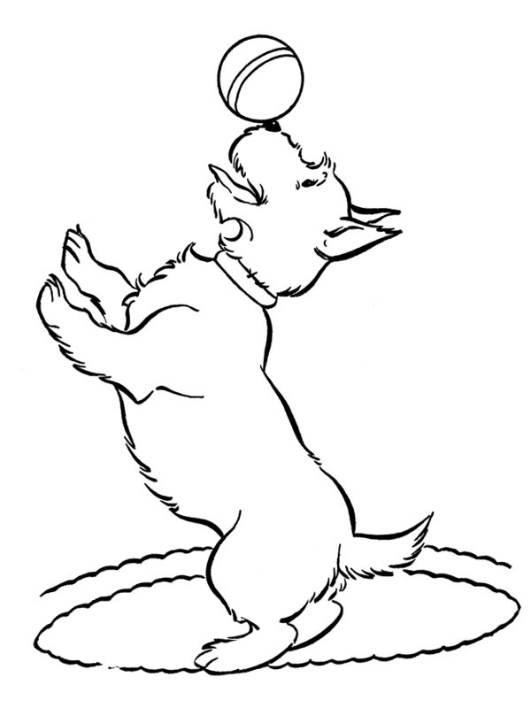 Dog with ball Coloring page