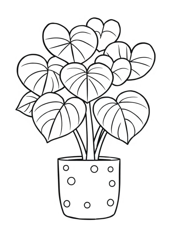 Lucky heart Plant (Hoya Kerrii) Coloring page