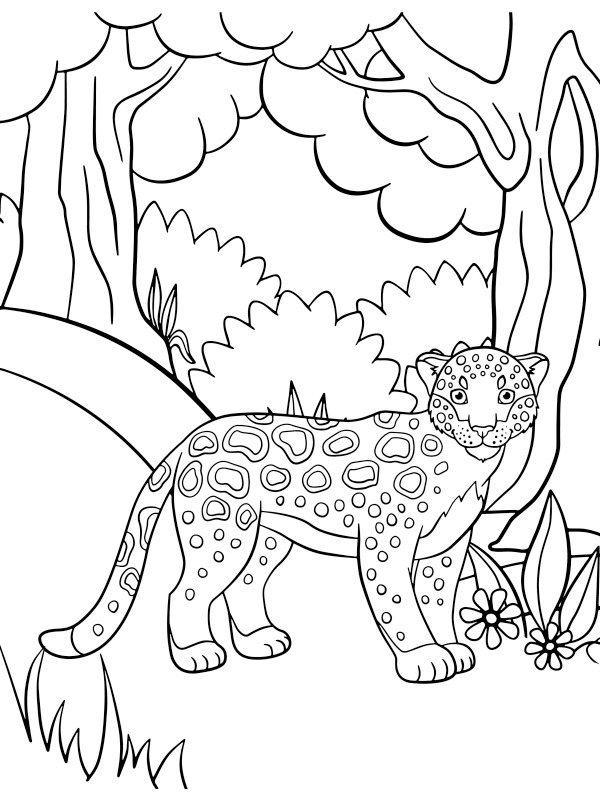 Cheetah in the woods Coloring page