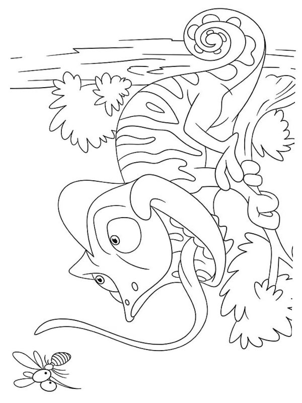 Chameleon catches muskito Coloring page