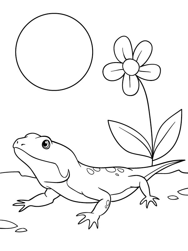 Chameleon Coloring page