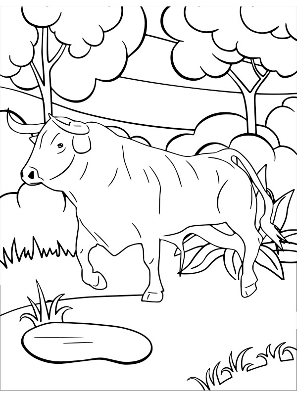 Cow with horns Coloring Page - Funny Coloring Pages