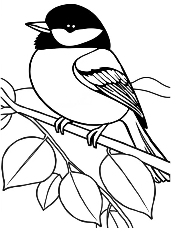 Great tit Coloring page