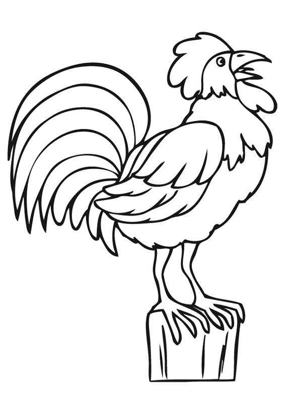 Crowing rooster Coloring page