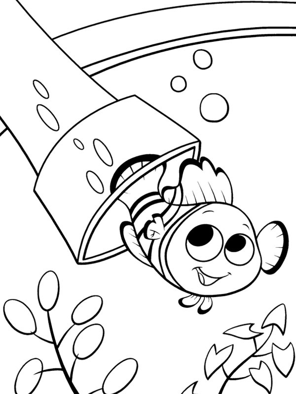 Nemo Coloring page