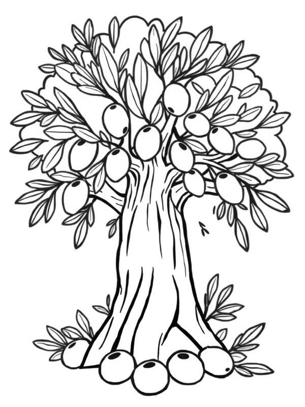 Olive tree Coloring page