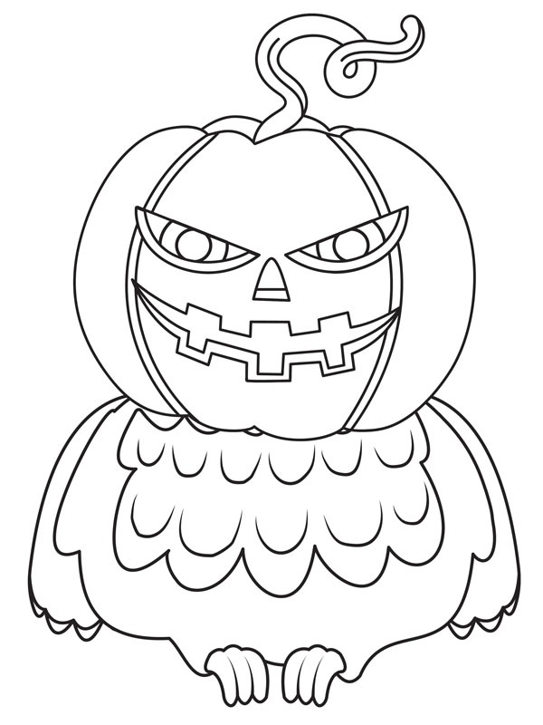 Owl pumpkin Coloring page